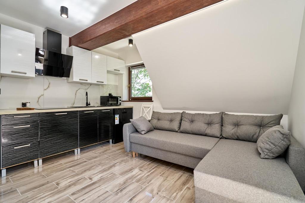 Apartamenty U Kamila Закопане Екстериор снимка